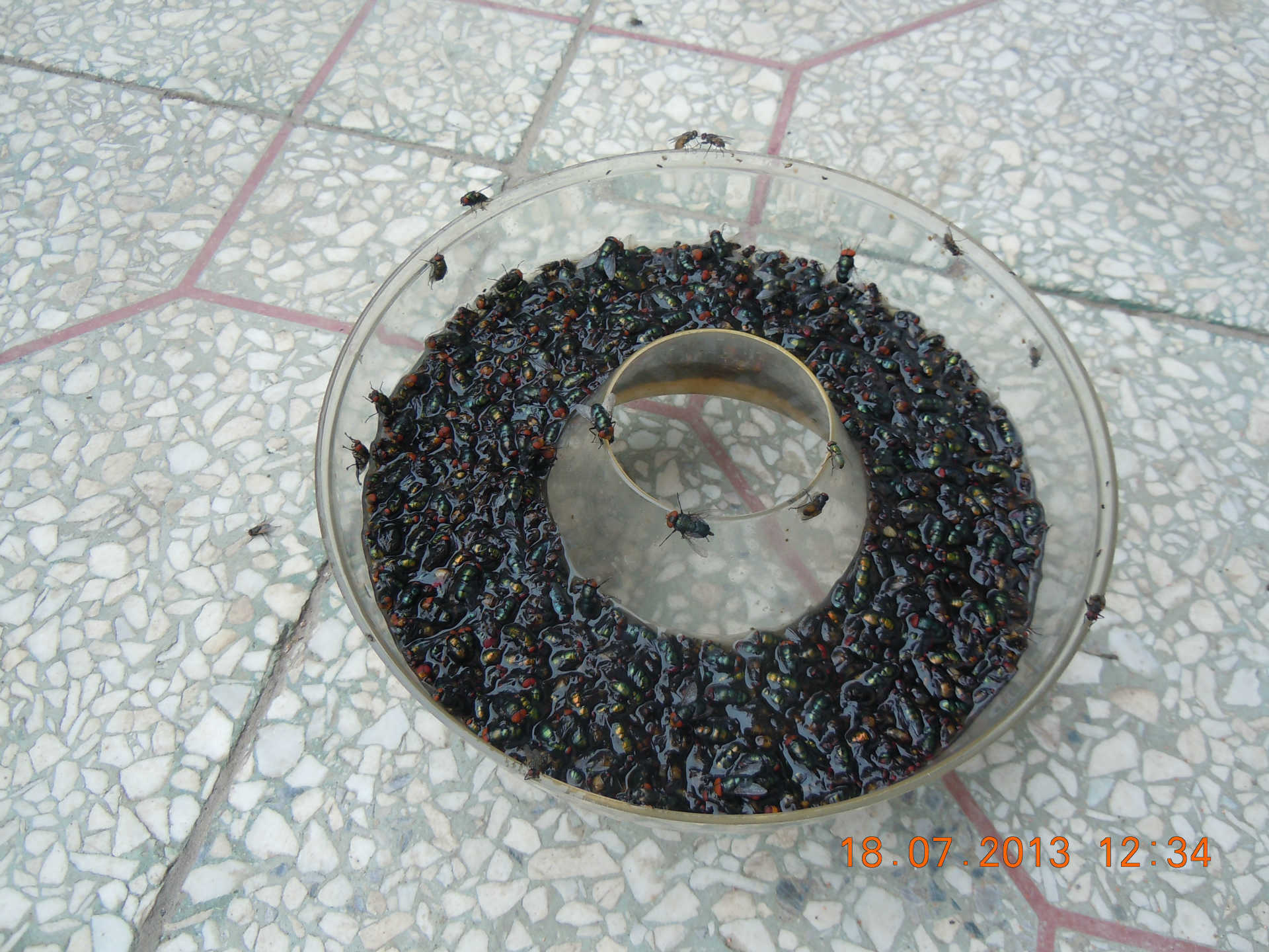 【专业生产我爱发明新型捕蝇器,灭蝇器,配一包