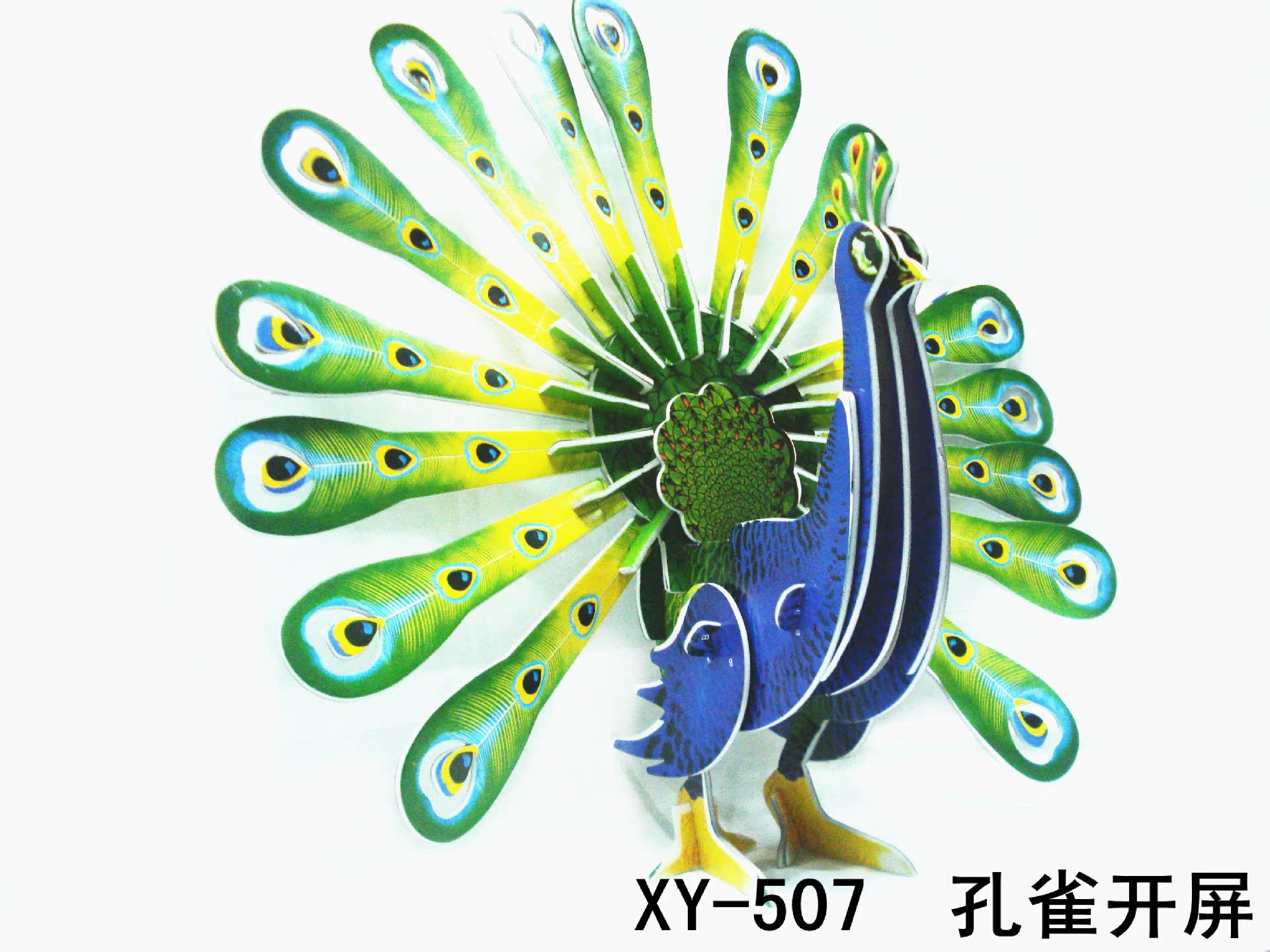 XY-507_副本