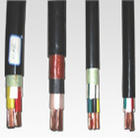 u=4049002653,3291025300&fm=0&g