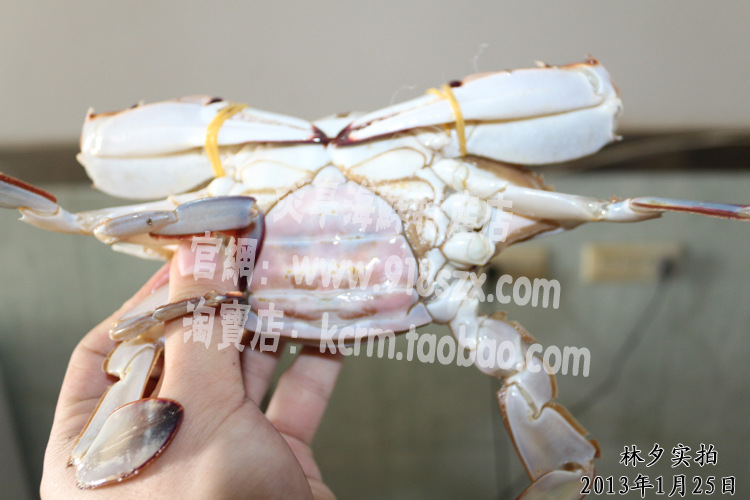 温州特产有哪些?温州江蟹炎亭江蟹 图片