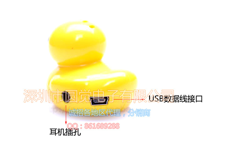 T2wXF4XE8XXXXXXXXX_!!880403151
