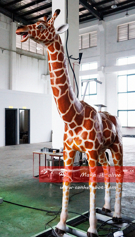 DSC06892_副本_副本