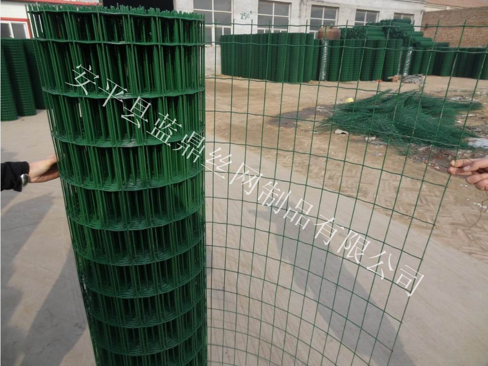 蓝鼎荷兰网102_副本