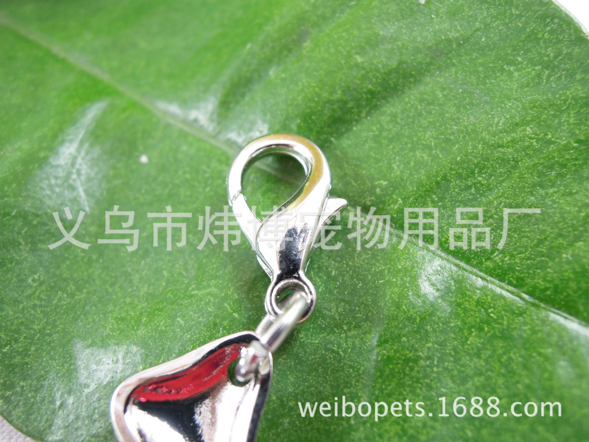 DSCN0300