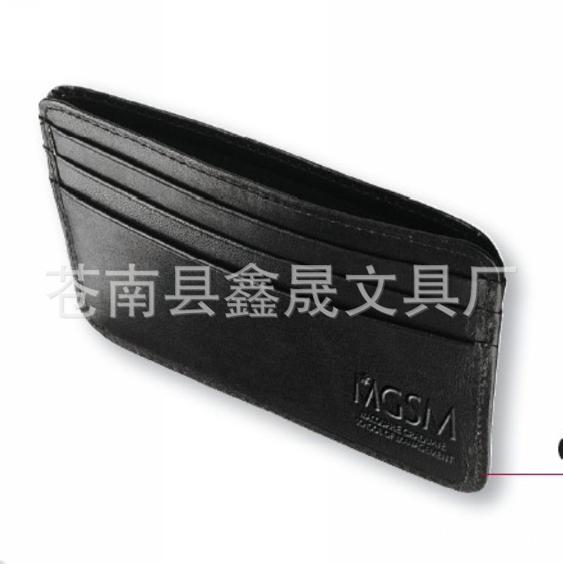 Credit Card Holder1