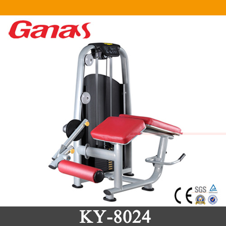 KY-8024 Leg Curl