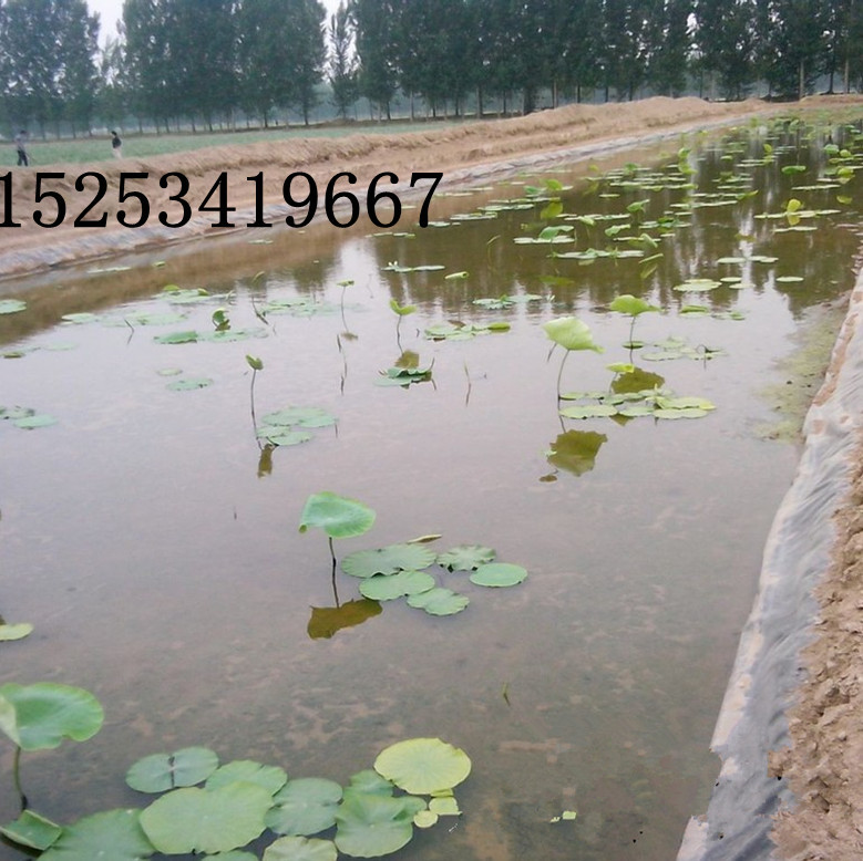 831053346_1757512064_副本