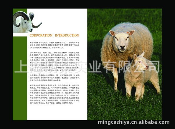 企业画册印刷27