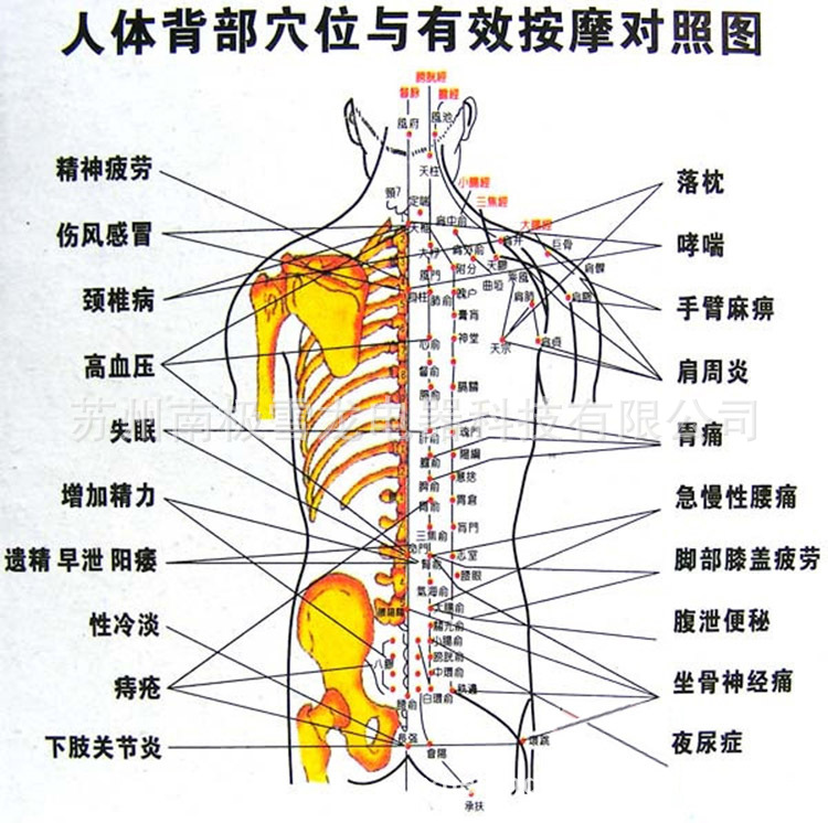 數位經絡電療機002-1