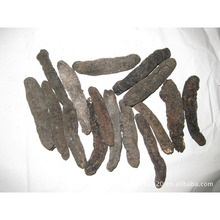 找相似款-海参批发 进口海参 乌参 乌丸参 乌园