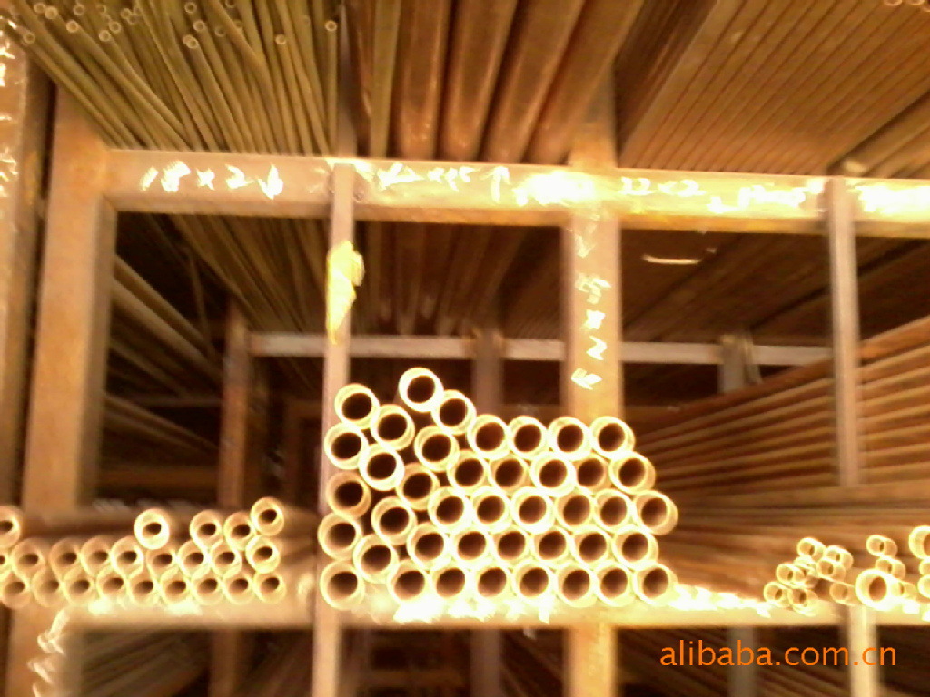 207648591_1238084529