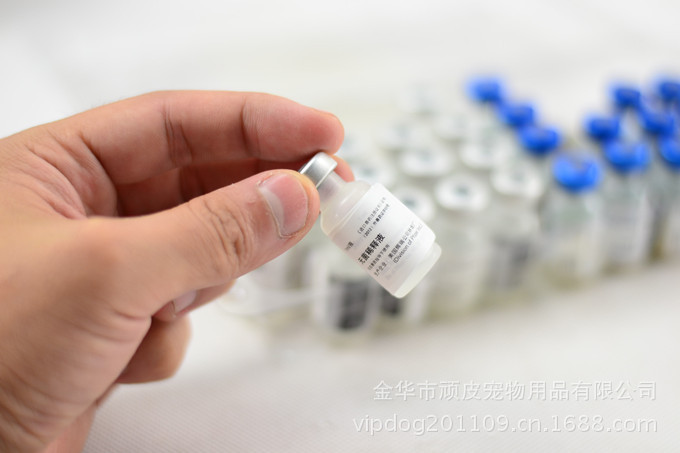 【现货供应宠物用品 美国辉瑞卫佳犬狗用 五联