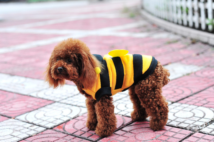 蜜蜂宠物变身装 双层面料 优质 宠物衣服猫狗狗