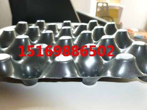 P1020550
