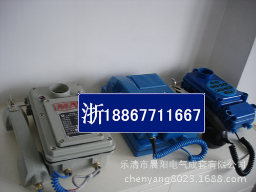 DSC04233_副本_副本