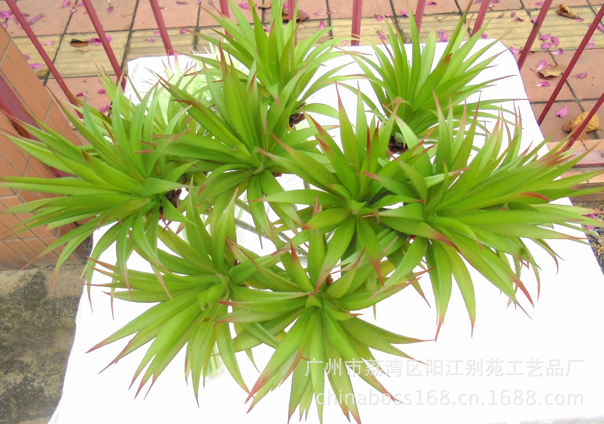 仿真长杆多肉植物菠萝草花束 大型花艺高花盘