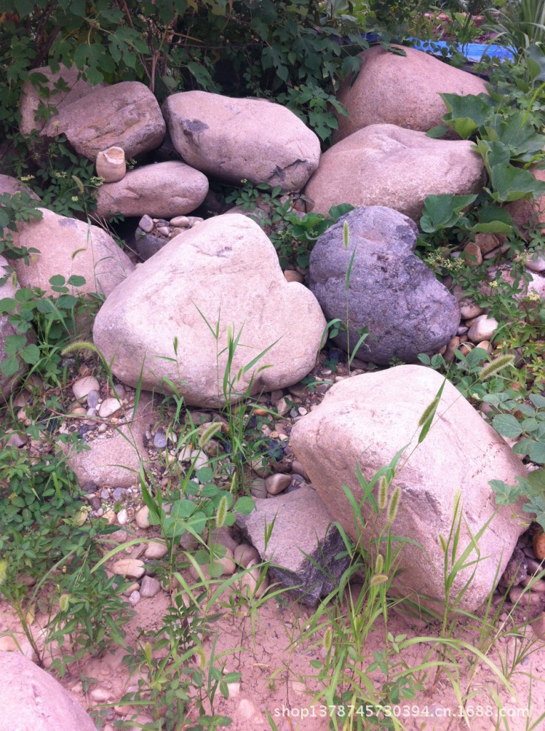 T2HJ7KXdxXXXXXXXXX_!!877626442