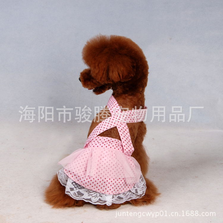 nEO_IMG_CAT_8017_副本