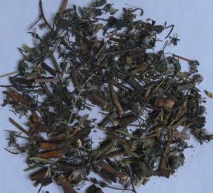 植物原药材-苦碟子 中药材 化脓性炎症的苦碟子