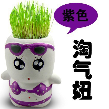 盆景-广东批发<em>淘气</em>郎防<em>辐射</em>青草小盆栽 DIY青