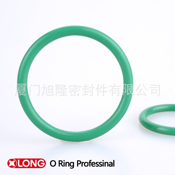 O ring10