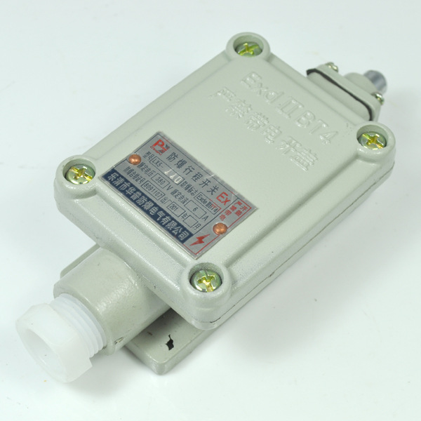 防爆行程开关LX5-110L