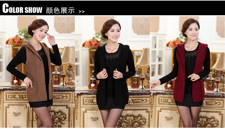 出厂价【厂家直销】美门秋季新款<em>女士马甲</em>带帽