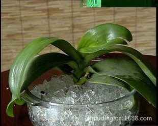 丙烯酸树脂-农用保水剂-丙烯酸树脂尽在阿里巴