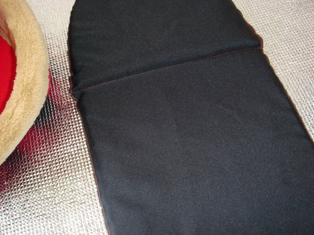 DSC03535