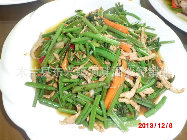 东北林区天然生长的山野菜:广东菜,俗名黄瓜香