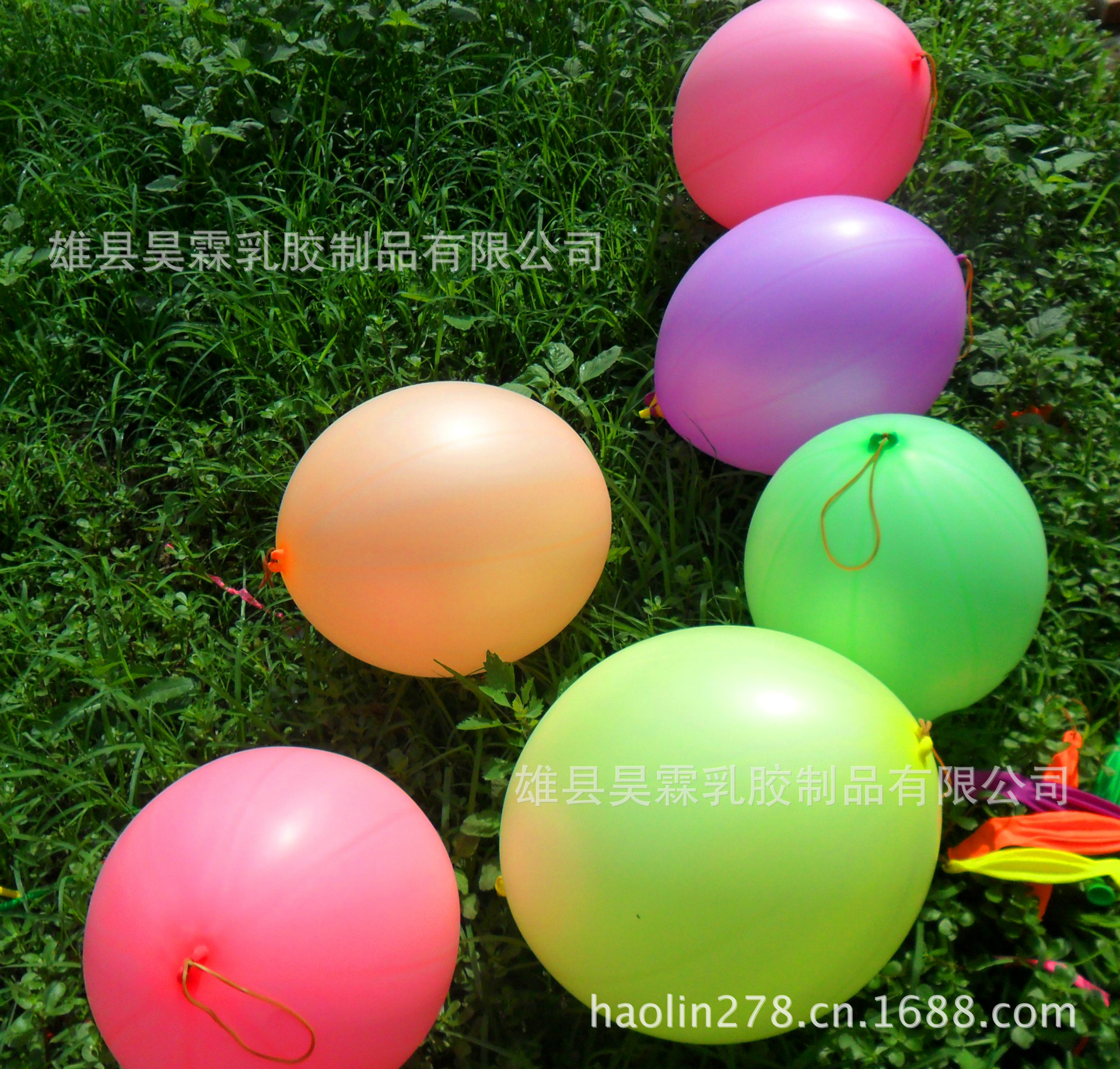 批发采购气球-拍拍球 玩具气球 儿童气球批发采