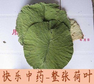 荷叶批发 微山湖整张荷叶茶 纯青干荷叶茶批发 叫花鸡荷叶饭 中药