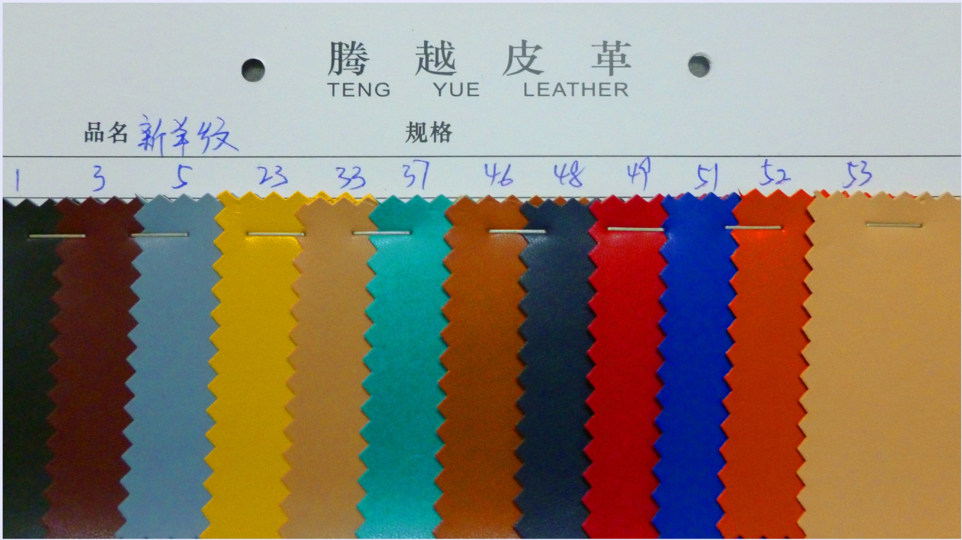 P1010140_副本