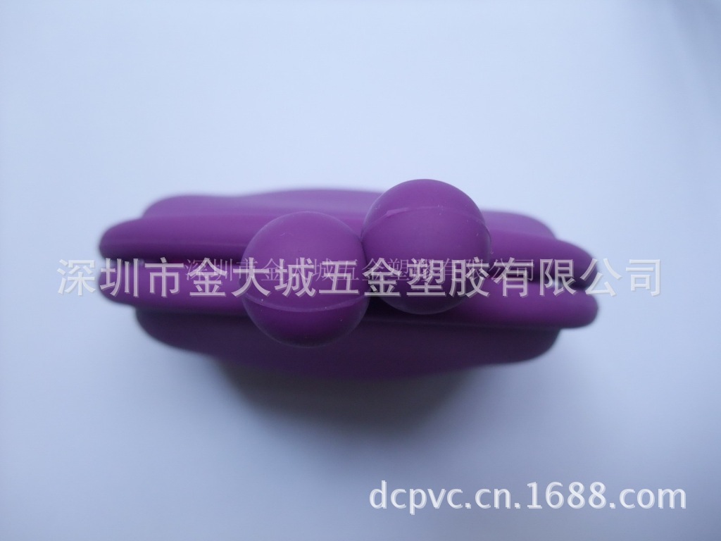 DSCF8614