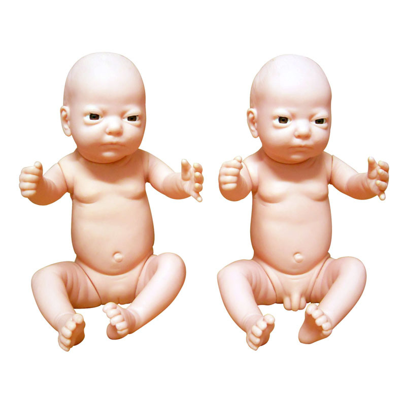 高级出生婴儿模型(男婴,女婴任选) bz-fy1