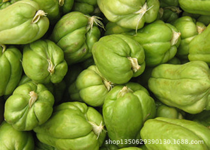 精选高产佛手瓜种子 种瓜 当月新货保证成活 不