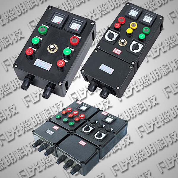 BXD8050防爆防腐动力配电箱