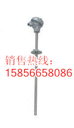 耐磨热电阻1330式_副本