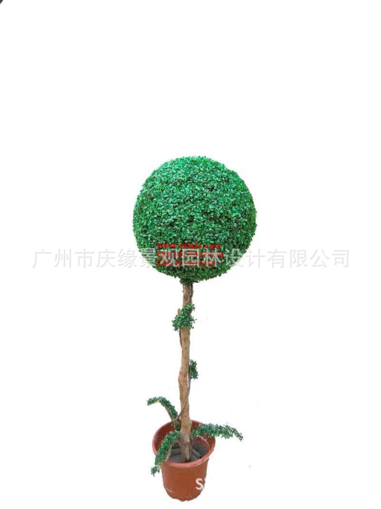 conew_hz-142。球树。ball tree r：60