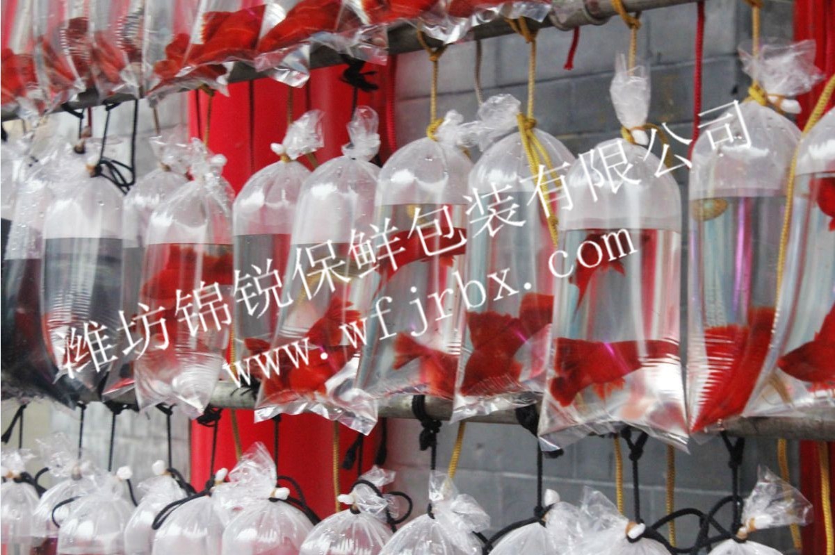 锦锐-活鱼呼吸袋5