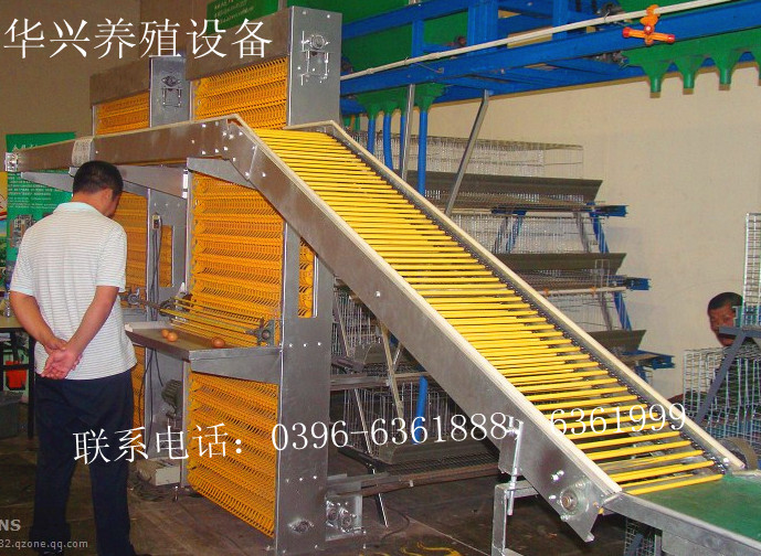 捡蛋机横向传输系统