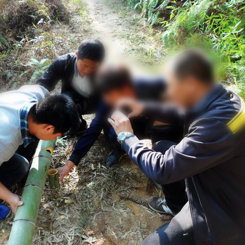낢鹵賂呱아,銶행賂아,삶챘賂아,답謠賂아覩�檄쫄�쟉틔楠�겜아