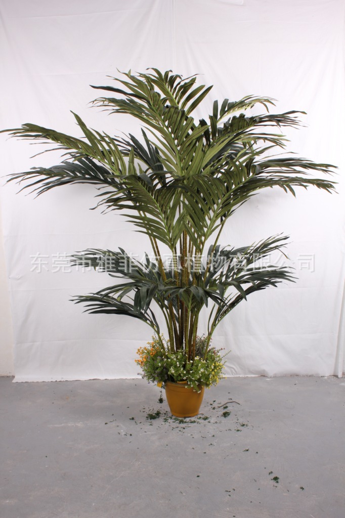 SJA0258 槟榔树 250CM