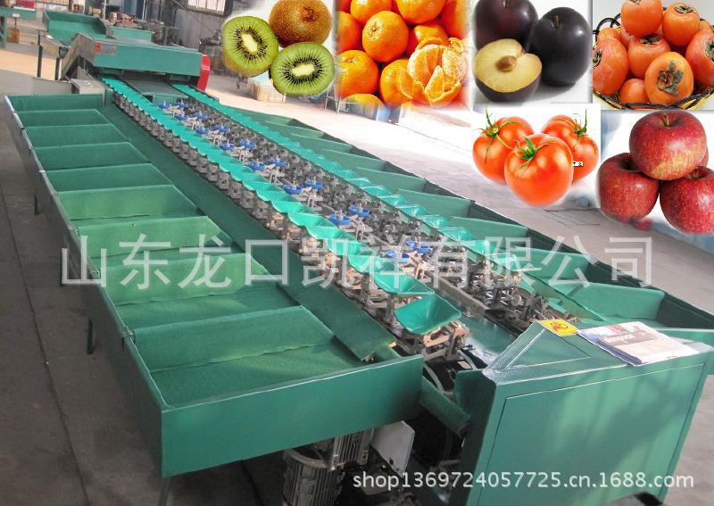 XGJ-JL型双通道选果机1double line frui