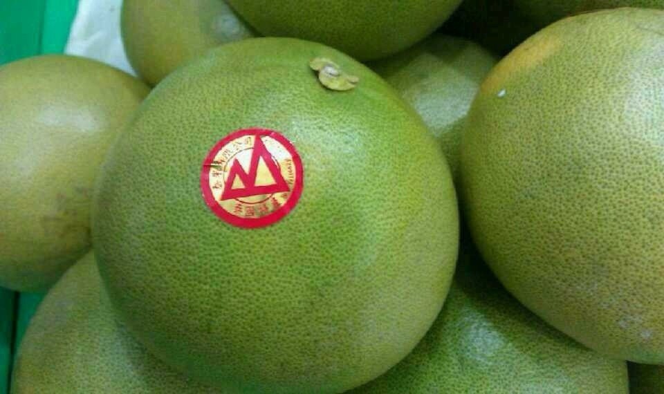 【台湾金柚 新鲜水果批发 团购】价格,厂家,图片