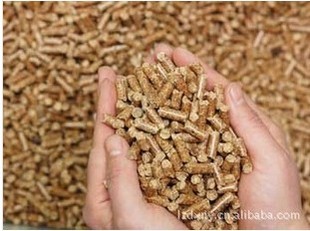 生物能源-新一代环保燃料 煤炭完美的替代燃料