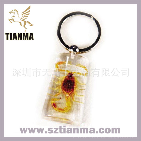 real-insect-amber-keychain-790