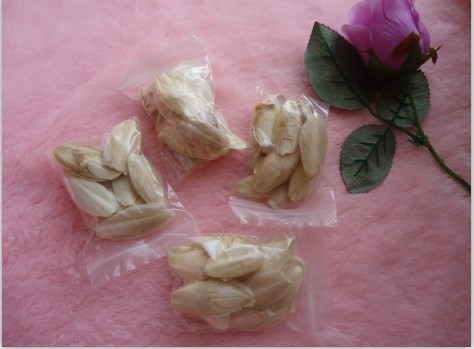 小包墨鱼骨 小片墨鱼骨 海螵<em>鞘</em> 图片_高清大图