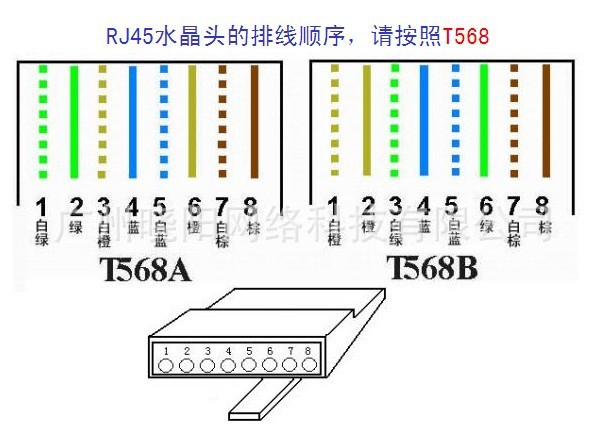 tcl超5類非屏蔽水晶頭11