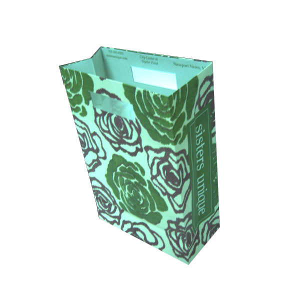 Recyclable-Paper-Bag-HDBG-52-